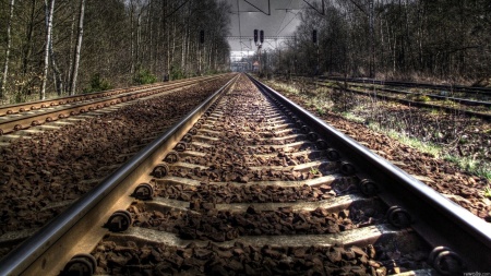 railroad-tracks-in-the-forest-hdr